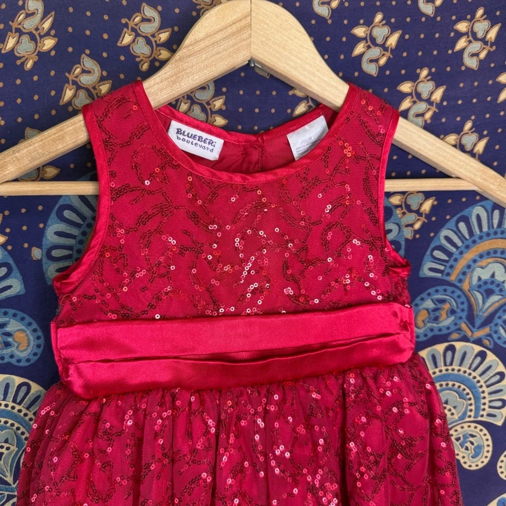 🦋5/20$🦋 Red Sleeveless Lace Dress - Picture 2 of 8